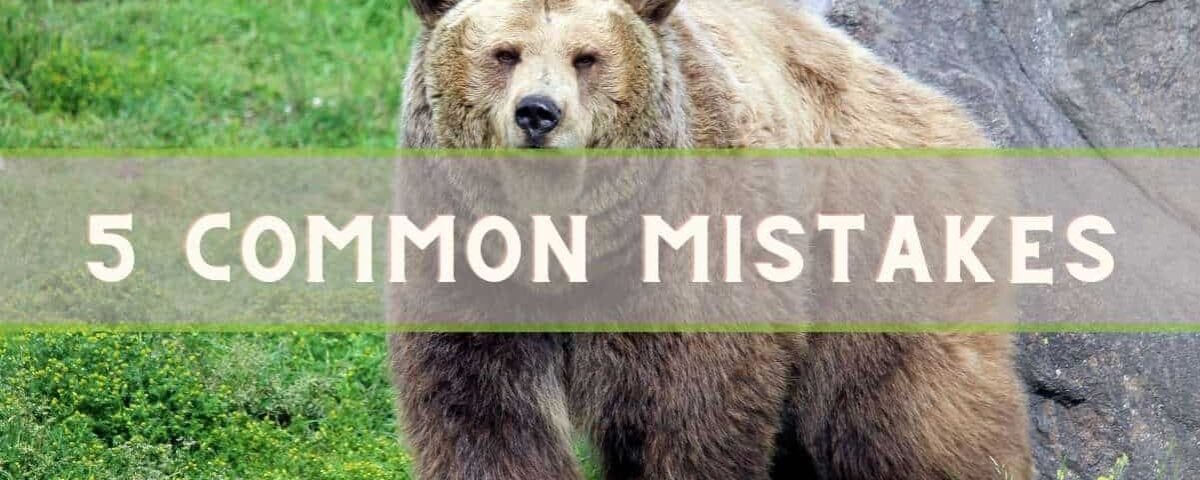 5 Common Mistakes to Avoid During a Crypto Bear Market