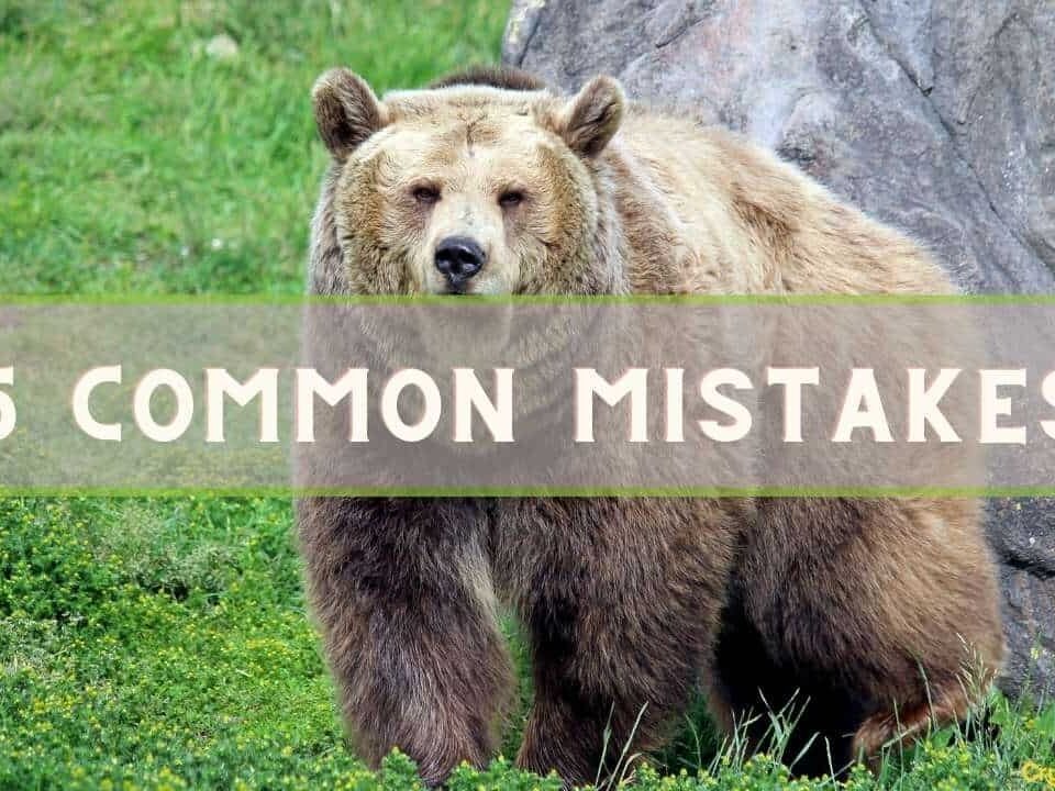 5 Common Mistakes to Avoid During a Crypto Bear Market
