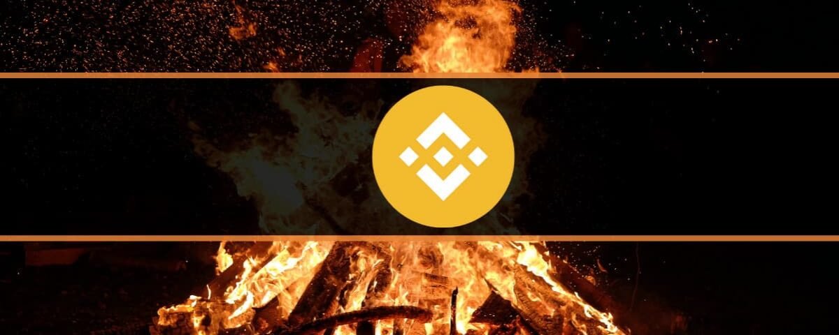 How Much is Burnt and When?