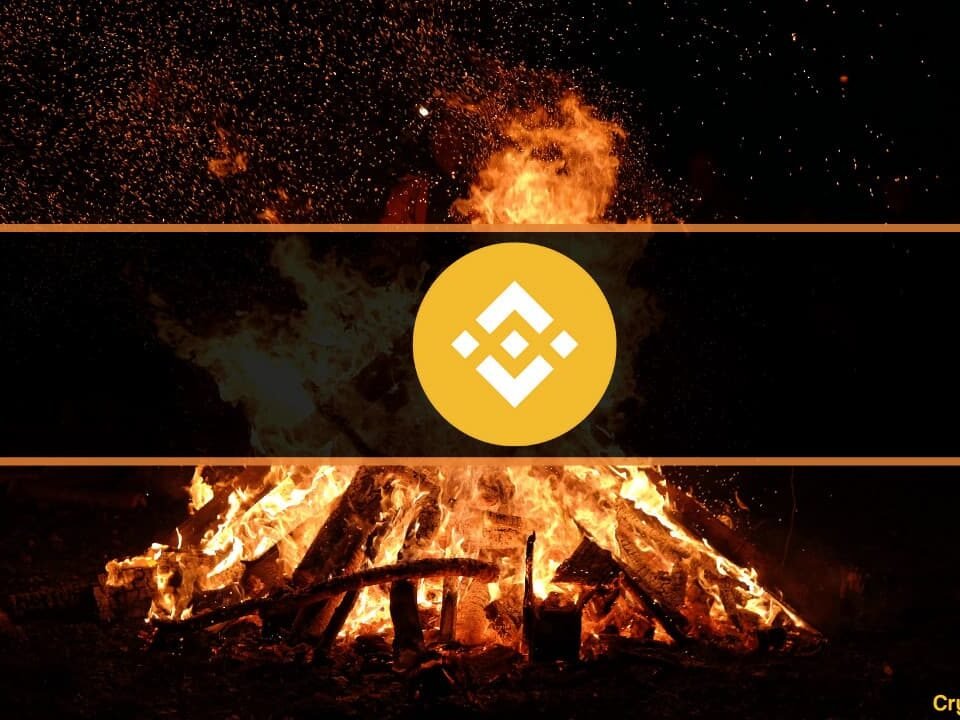 How Much is Burnt and When?