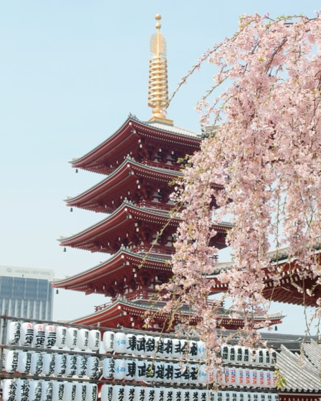 Flight Scheduler 2 asia discover
