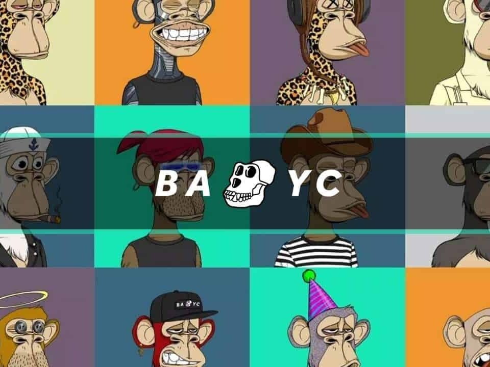 Everything You Need to Know