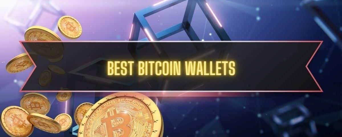 Top Hot & Cold Options