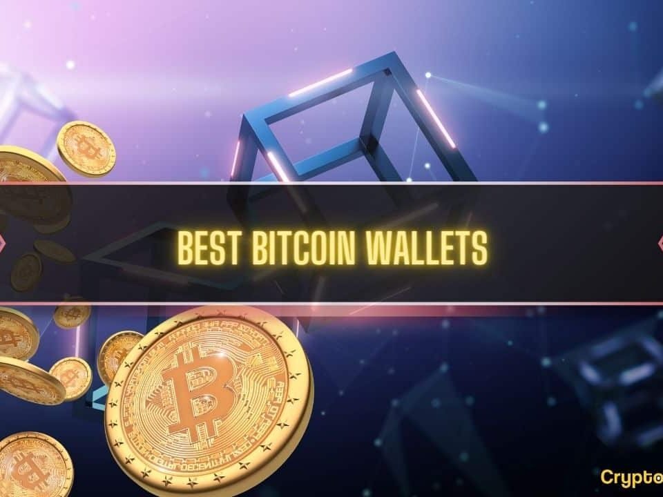 Top Hot & Cold Options