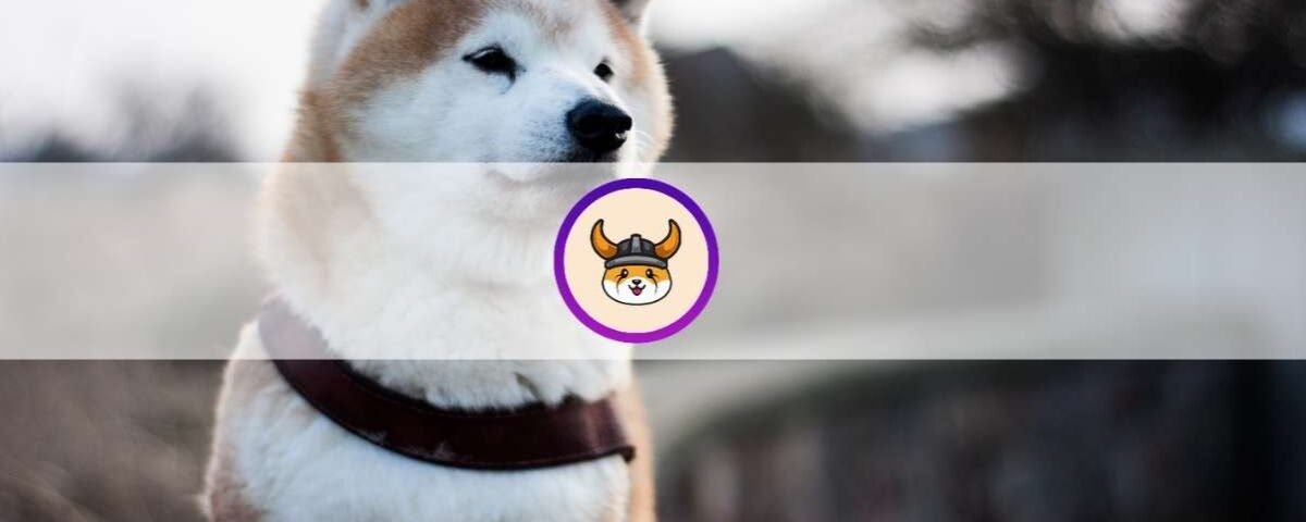 What is Floki Inu (FLOKI)? Everything You Need to Know About the Trending Memecoin