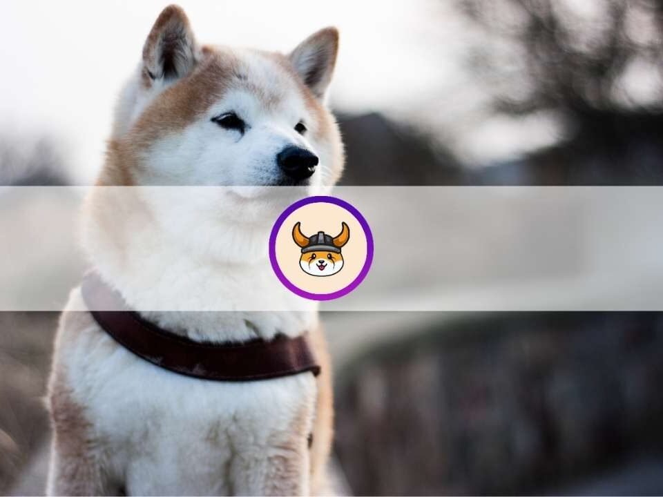 What is Floki Inu (FLOKI)? Everything You Need to Know About the Trending Memecoin