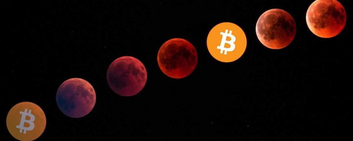 What You Need to Know