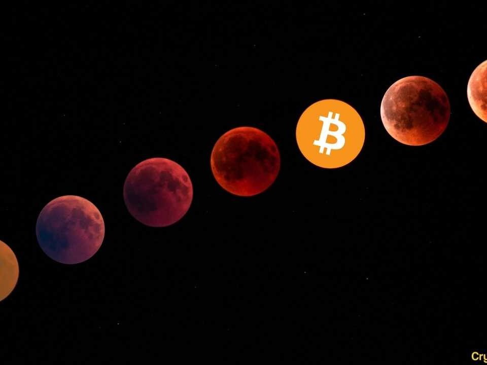 What You Need to Know