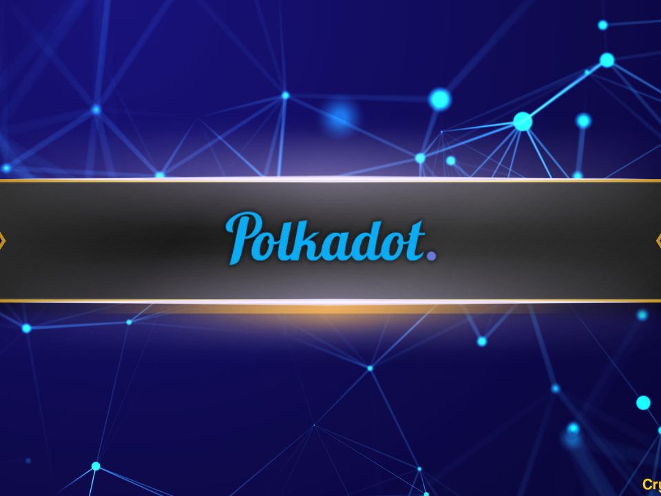 The Ultimate Guide for 2024