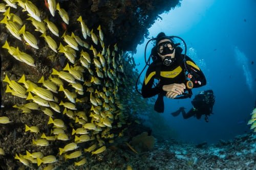 Flight Scheduler 7 scuba diving