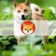 What is Shiba Inu (SHIB)? Read Before You Invest