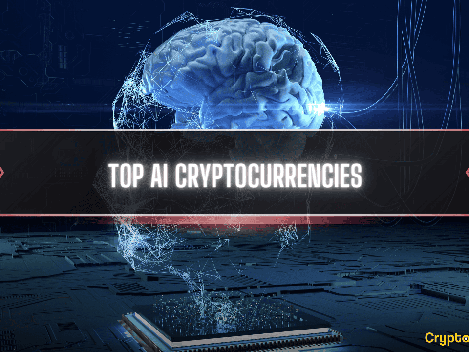 Top 10 Projects to Watch