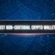 Top 11 Best Non-Custodial Crypto Wallets in 2024