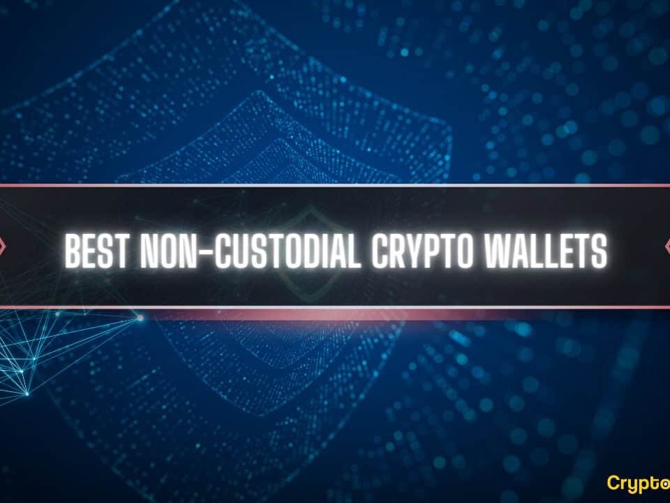 Top 11 Best Non-Custodial Crypto Wallets in 2024