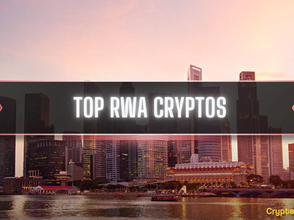 Top 11 Real-World Asset Projects in 2024