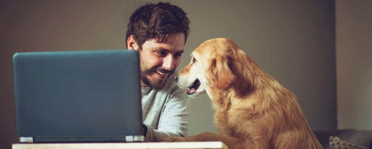 How to Become a Virtual Assistant