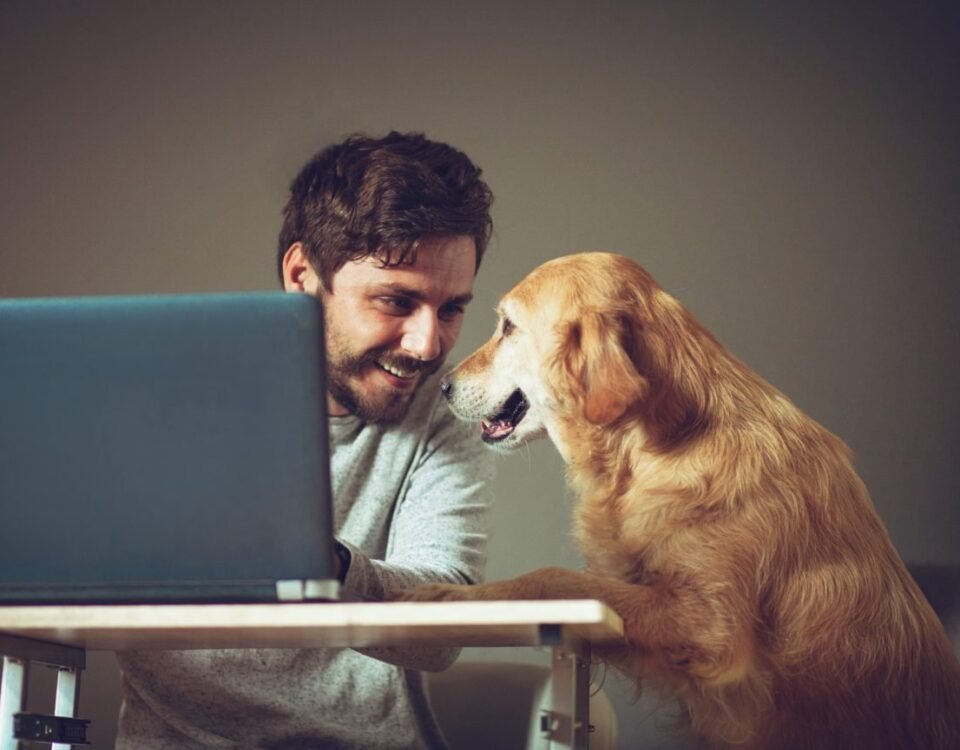 How to Become a Virtual Assistant