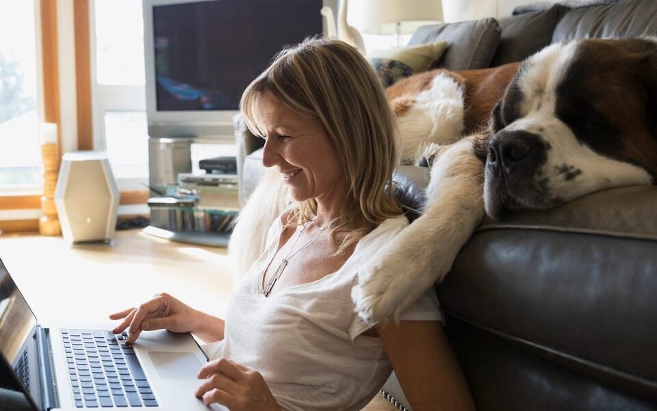 The Best Work From Home Jobs
