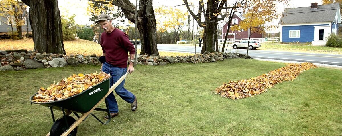 Jobs for virtual assistants, caregivers and people with muscles