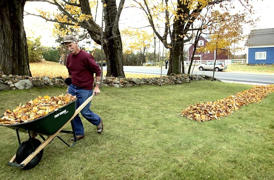 Jobs for virtual assistants, caregivers and people with muscles