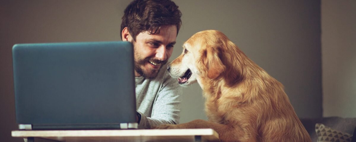 How to Become a Virtual Assistant