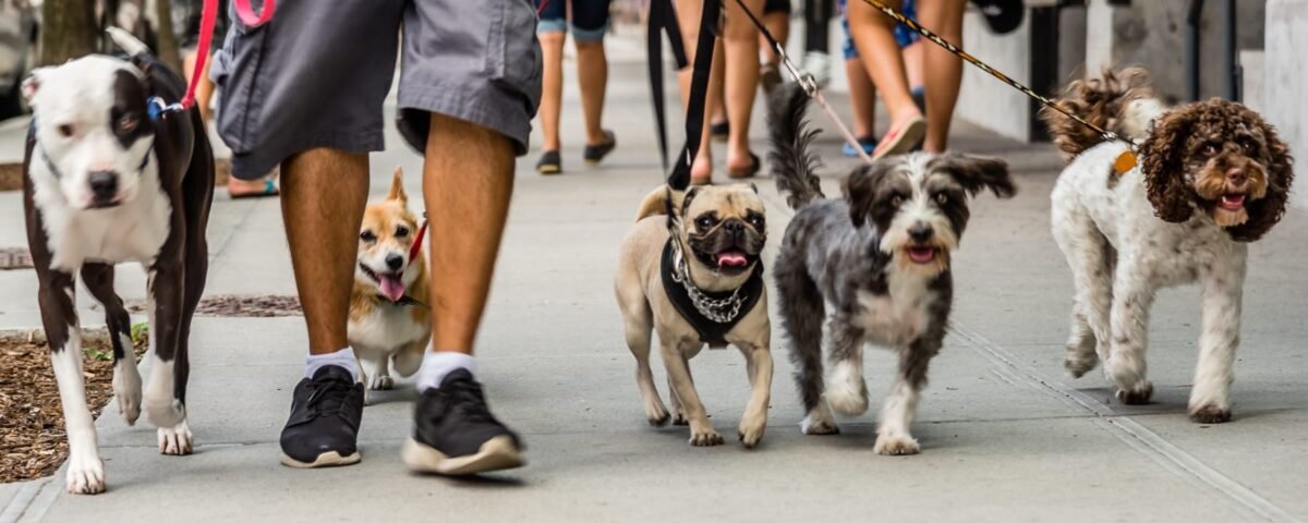 18 Ways to Make Money Without a Job