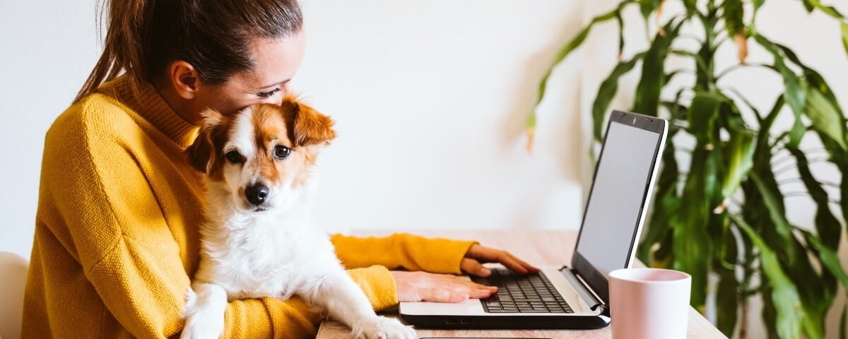 Best Work-from-Home Jobs [2026]: Ditch the Morning Commute