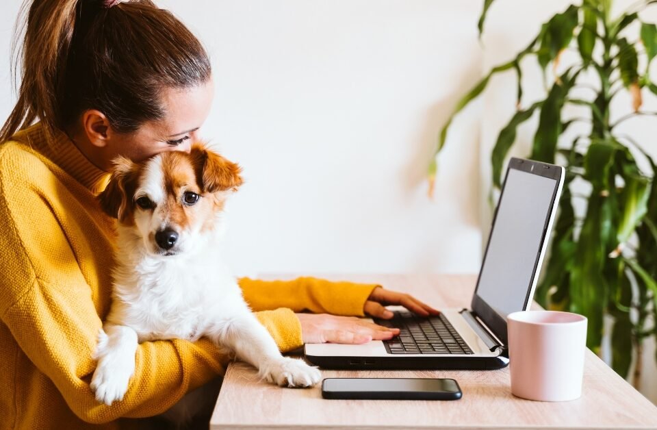 Best Work-from-Home Jobs [2026]: Ditch the Morning Commute