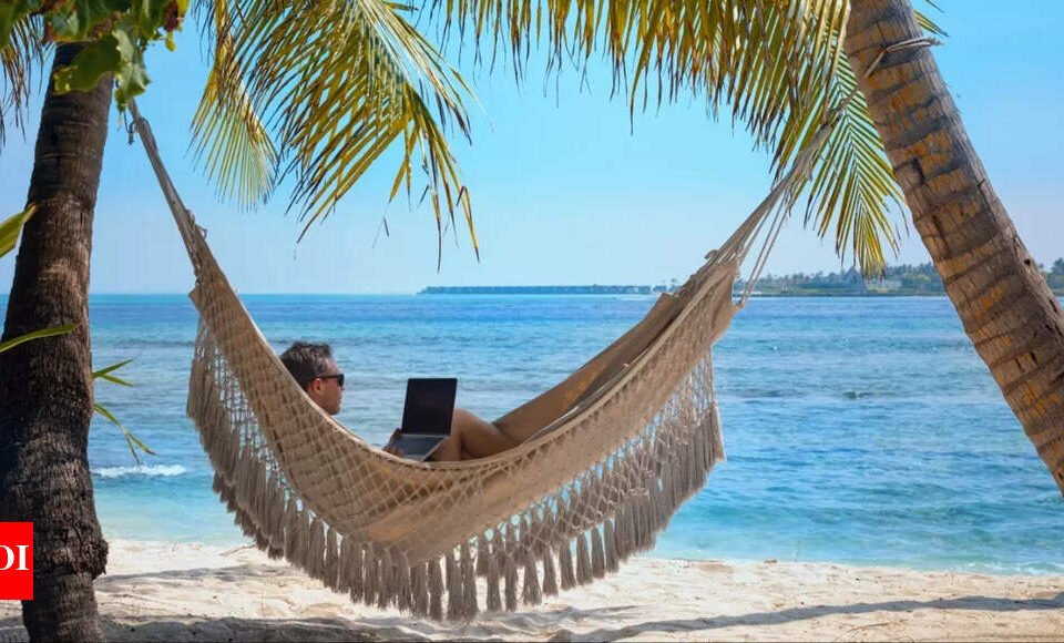 5 remote-friendly careers you can land without a Master’s degree