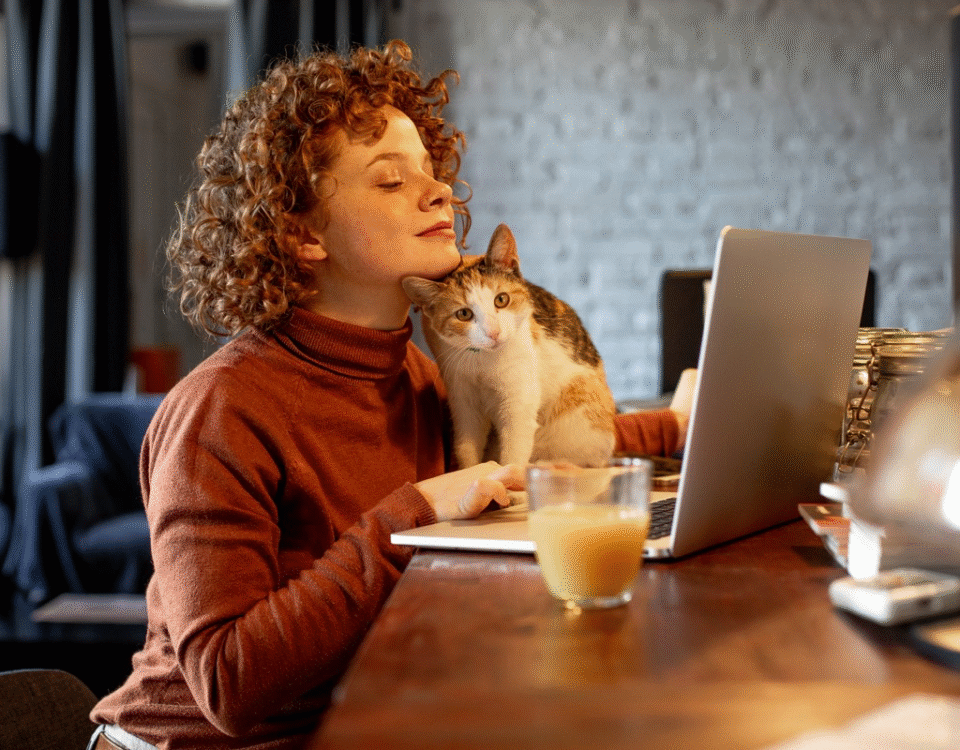 How to Become a Virtual Assistant (for Military Members and Spouses)