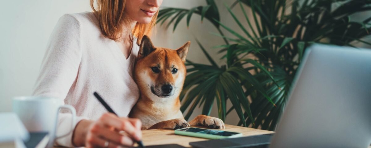 Legit Online Jobs and the Best Places to Find Them