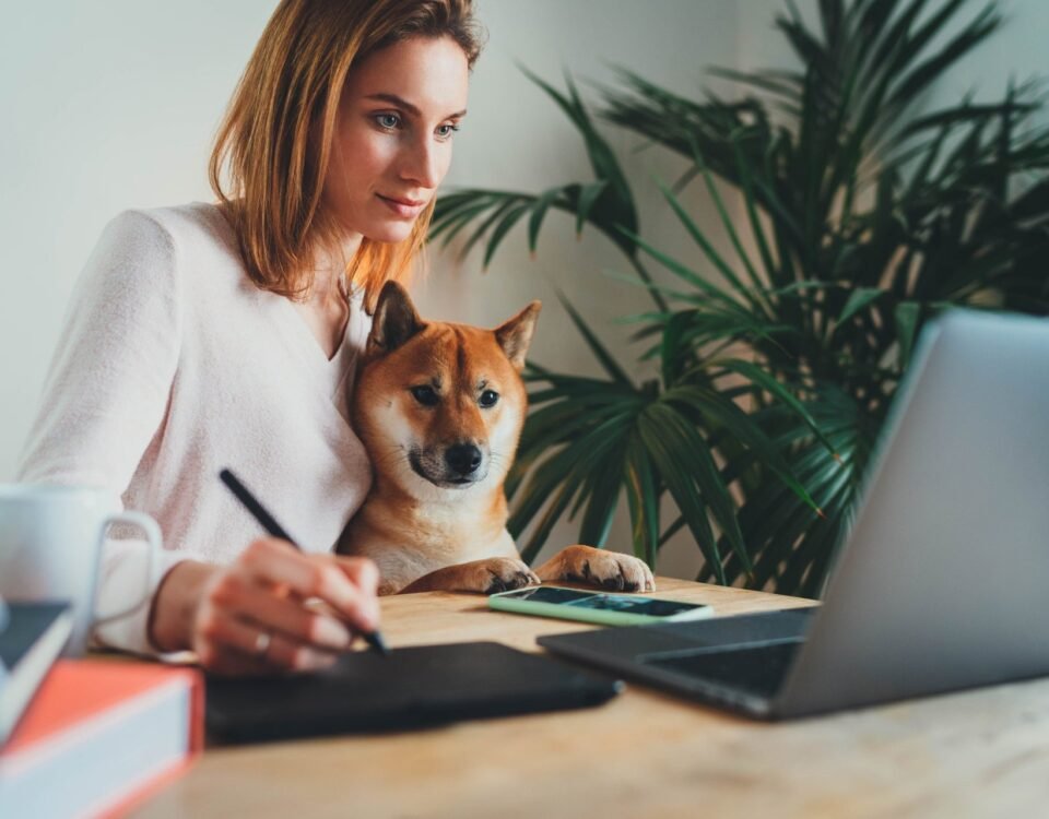 Legit Online Jobs and the Best Places to Find Them